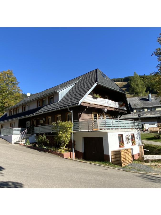 Pension Hofeck Bernau im Schwarzwald Exterior foto